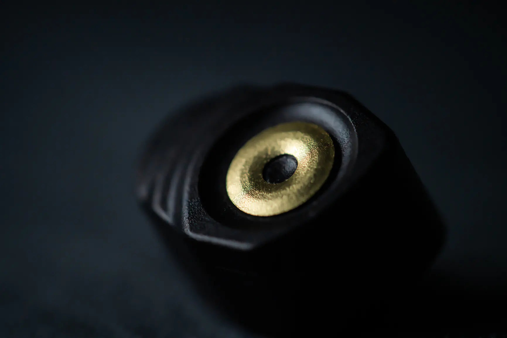 NIghtjar Acoustics Singularity